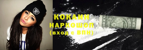 стаф Инта