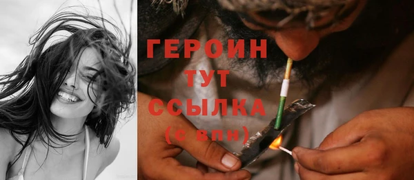 стаф Инта