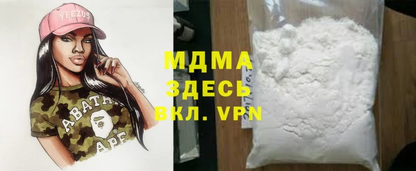 стаф Инта