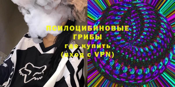 марки nbome Каменка