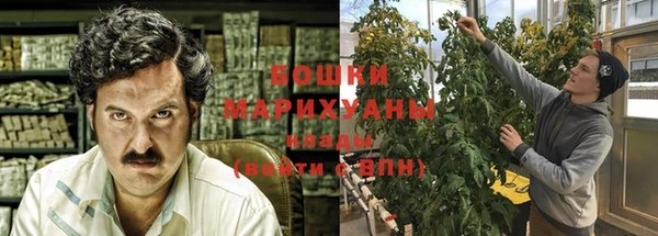 стаф Инта