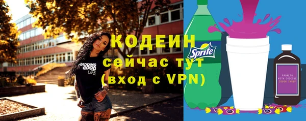 стаф Инта