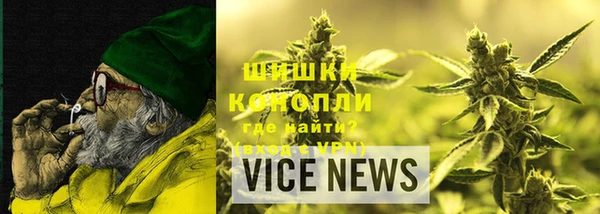 стаф Инта