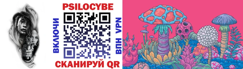 Купить закладки  Бавлы  Галлюциногенные грибы прущие грибы 